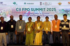 WhatsApp-Image-2025-12-12-at-8.27.18-PM-1-scaled